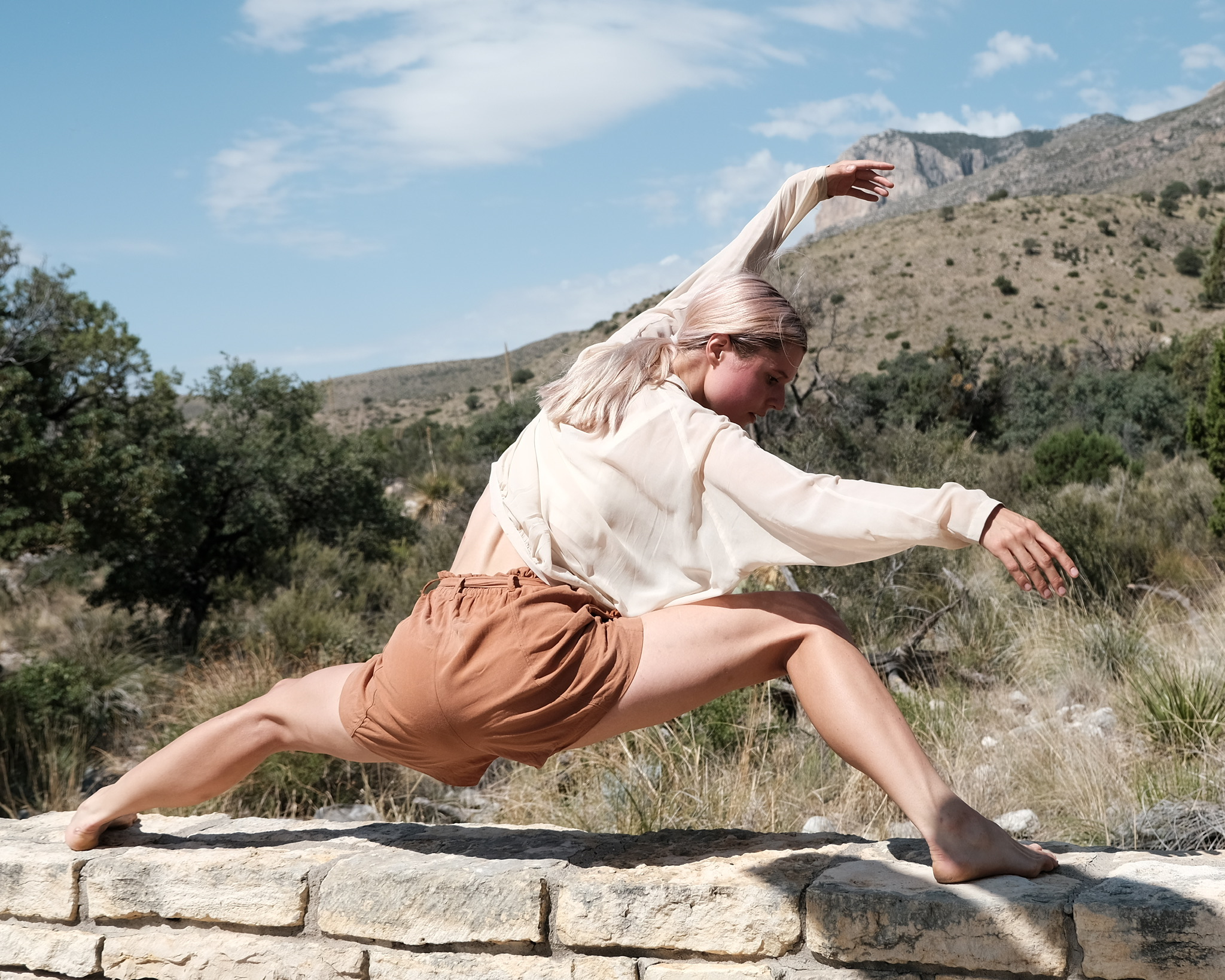 Lunge